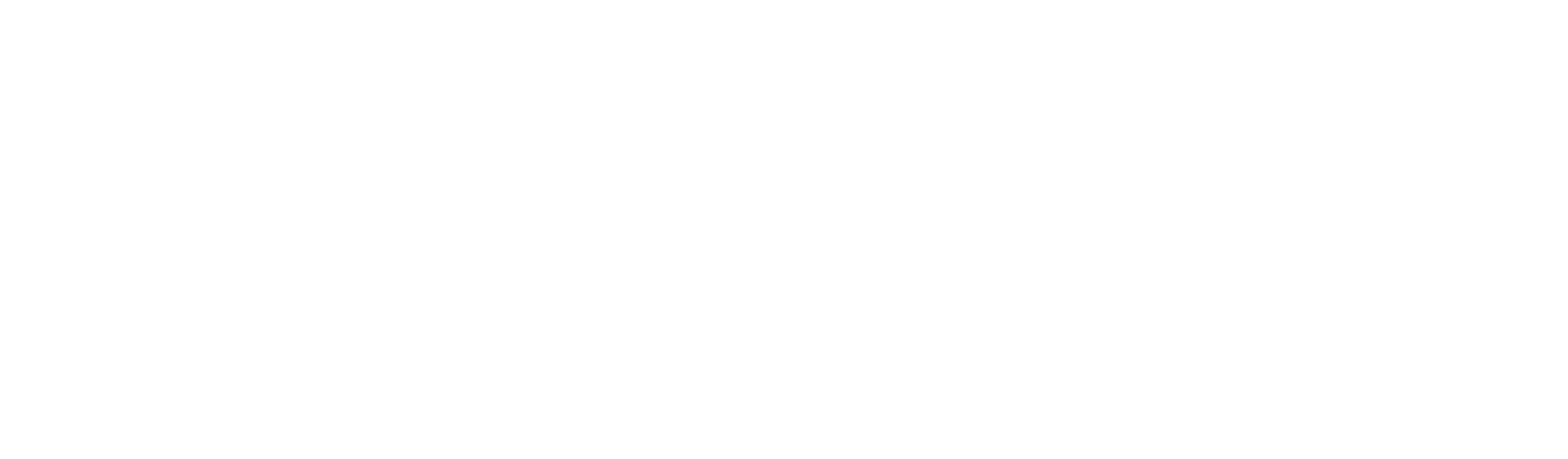 Logo Destockage blanc